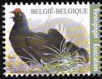 Belgie 4/2012 Belgie 4/2012