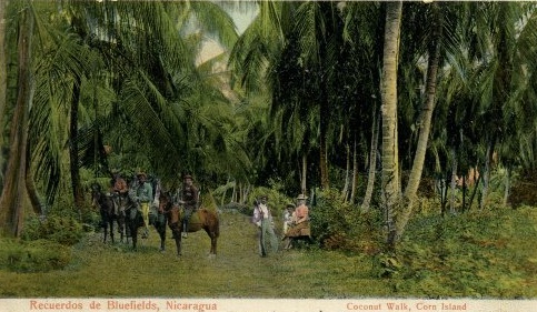 Corn island a Mosquitia Corn island a Mosquitia