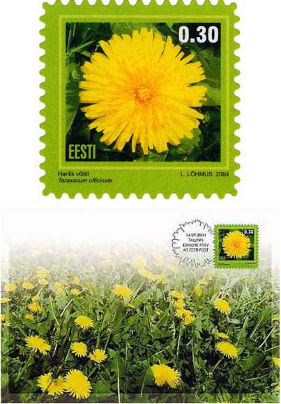 Estonsko 2/2004 Estonsko 2/2004