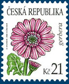 Krása květů - Gerbera Krása květů - Gerbera