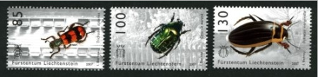 Liechtensteinsko 2007, 2008, 2009 - brouci Liechtensteinsko 2007, 2008, 2009 - brouci