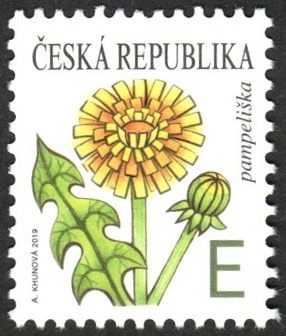 Pampeliška Pampeliška