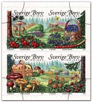 védsko 2/2004 védsko 2/2004