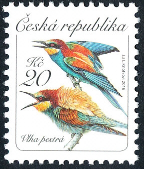 Vlha pestrá Vlha pestrá