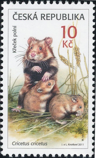 Zvířecí mláďata - Křeček polní Zvířecí mláďata - Křeček polní