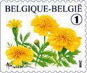 Belgie 3/2008 Belgie 3/2008