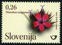 Slovinsko 1/2010 Slovinsko 1/2010