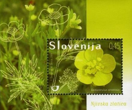 Slovinsko 2/2009 Slovinsko 2/2009