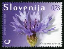 Slovinsko 2/2009 Slovinsko 2/2009
