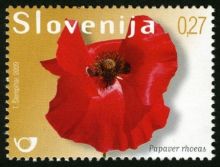 Slovinsko 2/2009 Slovinsko 2/2009