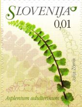 Slovinsko 3/2009 Slovinsko 3/2009