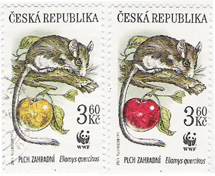 Zpravodaj 3/2007: Je libo červené nebo žluté jablíčko? Zpravodaj 3/2007: Je libo červené nebo žluté jablíčko?