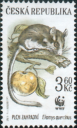Zpravodaj 3/2007: Je libo červené nebo žluté jablíčko? Zpravodaj 3/2007: Je libo červené nebo žluté jablíčko?
