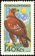 Horské ptactvo - orel skalní