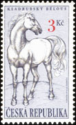 Kladrubští koně - Kladrubský bělouš