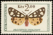 Motýli - přástevník špenátový