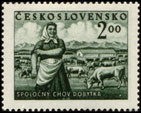 Socialistické zemědělství - společný chov dobytka