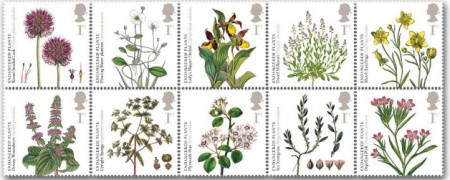250. výročí Královské botanické zahrady v Kew 250. výročí Královské botanické zahrady v Kew