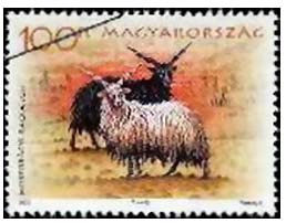 Akirův výběr ze světa známek - květen až červen 2005 Akirův výběr ze světa známek - květen až červen 2005