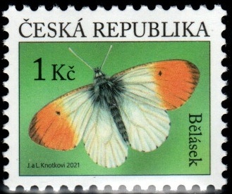 Bělásek Bělásek