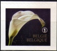 Belgie 2/2013 Belgie 2/2013