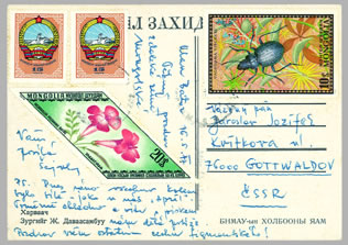 Mongolský endemický krajník Callisthenes fisheri (vpravo
nahoře) na pohlednici zaslané do ČSSR v r. 1977