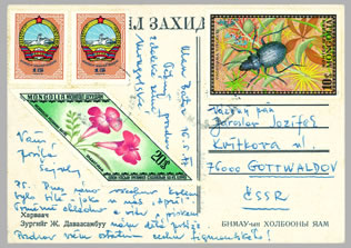 Brouci na známkách (4) Brouci na známkách (4)