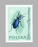 Brouci na známkách (5) Brouci na známkách (5)