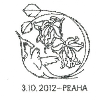 Gratulační motiv - Orchideje A Gratulační motiv - Orchideje A