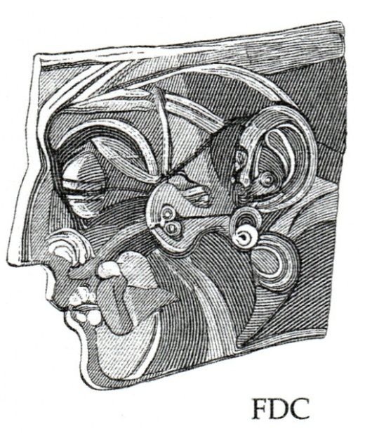 Josef Liesler - aršík Josef Liesler - aršík