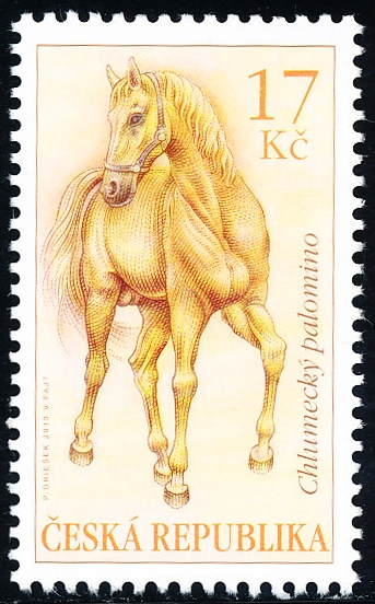 Koně - Chlumecký palomino Koně - Chlumecký palomino