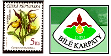Král králů Král králů