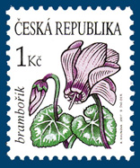 Krása květů - Brambořík Krása květů - Brambořík