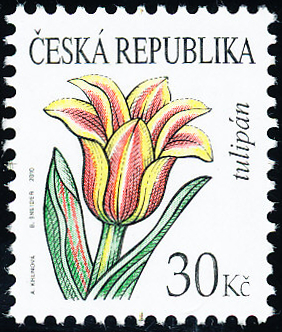 Krása květů - Tulipán 30 Kč Krása květů - Tulipán 30 Kč