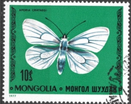 Motýlkové známky (1. díl) Motýlkové známky (1. díl)