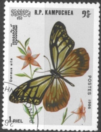 Motýlkové známky (1. díl)