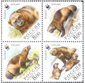 Novinky Ruska 2/2004 Novinky Ruska 2/2004