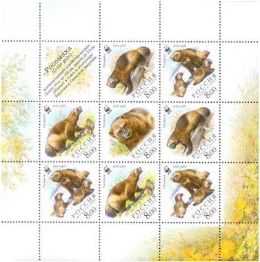 Novinky Ruska 2/2004 Novinky Ruska 2/2004