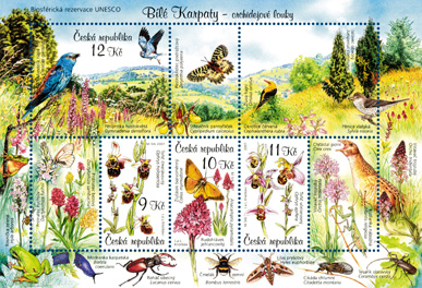Ochrana přírody: Bílé Karpaty - orchidejové louky - biosférická rezervace UNESCO Ochrana přírody: Bílé Karpaty - orchidejové louky - biosférická rezervace UNESCO