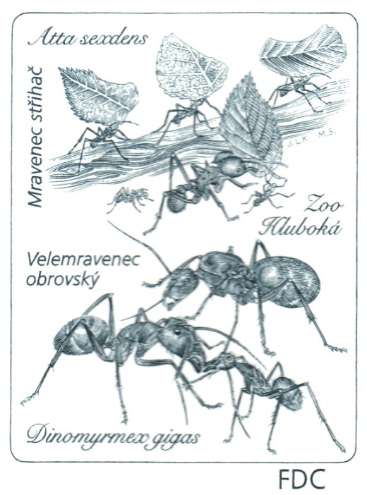 Ochrana přírody - Zoologické zahrady IV. Ochrana přírody - Zoologické zahrady IV.