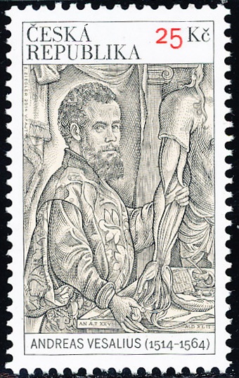 Osobnosti: Andreas Vesalius (1514 – 1564) Osobnosti: Andreas Vesalius (1514 – 1564)