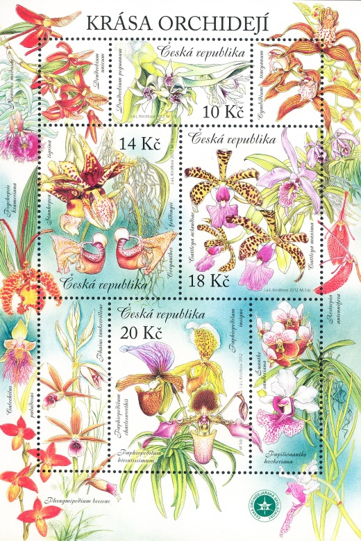 Pěstitelství - krása orchidejí Pěstitelství - krása orchidejí