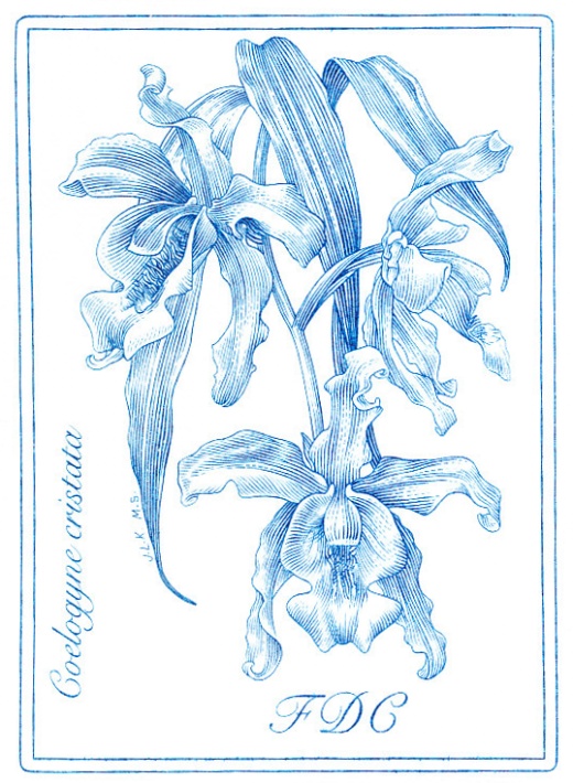 Pěstitelství - krása orchidejí Pěstitelství - krása orchidejí