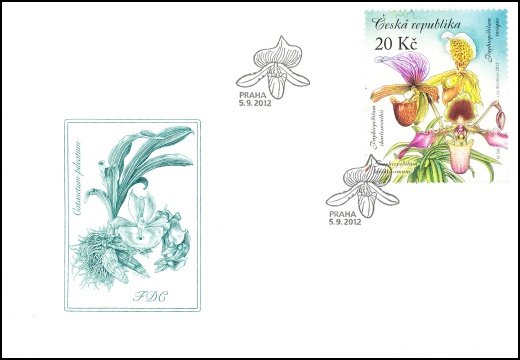 Pěstitelství - krása orchidejí Pěstitelství - krása orchidejí