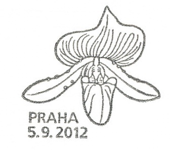 Pěstitelství - krása orchidejí Pěstitelství - krása orchidejí