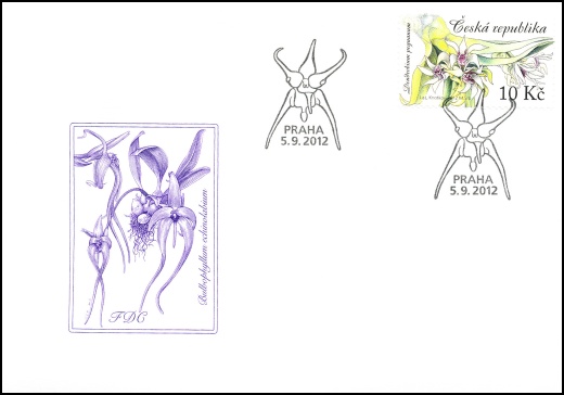 Pěstitelství - krása orchidejí Pěstitelství - krása orchidejí