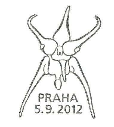 Pěstitelství - krása orchidejí Pěstitelství - krása orchidejí