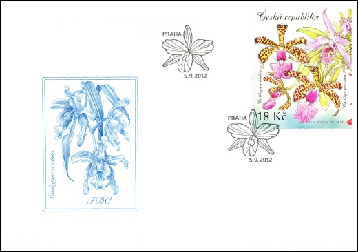 Pěstitelství - krása orchidejí Pěstitelství - krása orchidejí