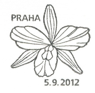 Pěstitelství - krása orchidejí Pěstitelství - krása orchidejí