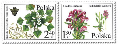 Polsko 1/2006 Polsko 1/2006